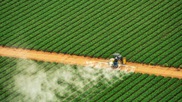 Insect Control in Fort Myers Beach, FL